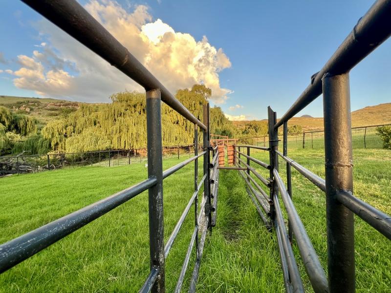 0 Bedroom Property for Sale in Fouriesburg Free State